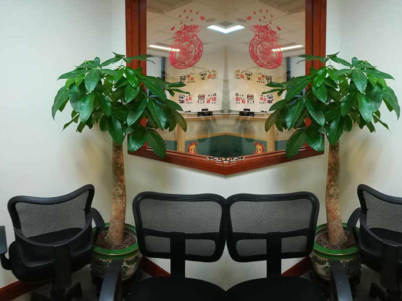 桂林办公室绿化服务