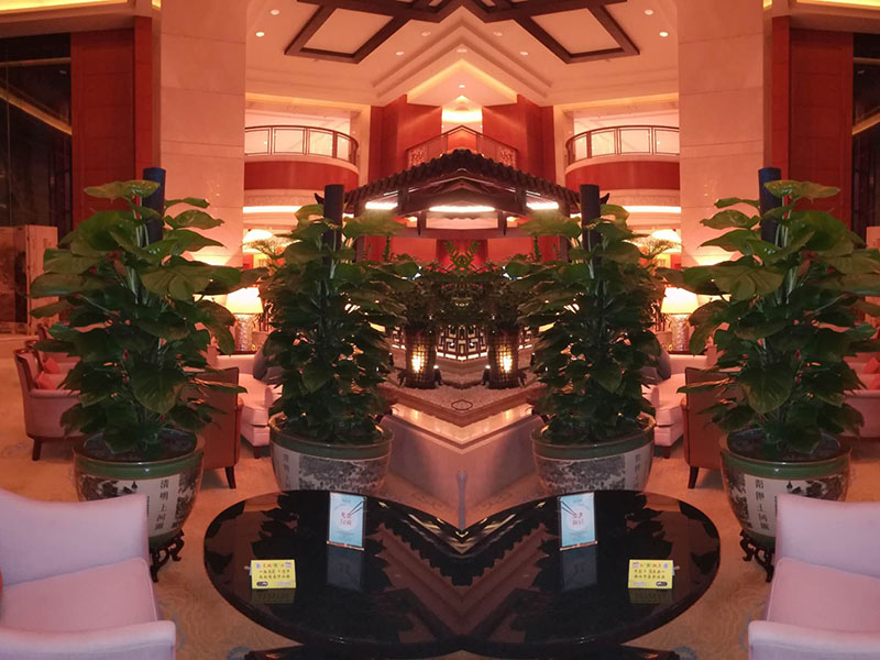 办公室绿植租赁